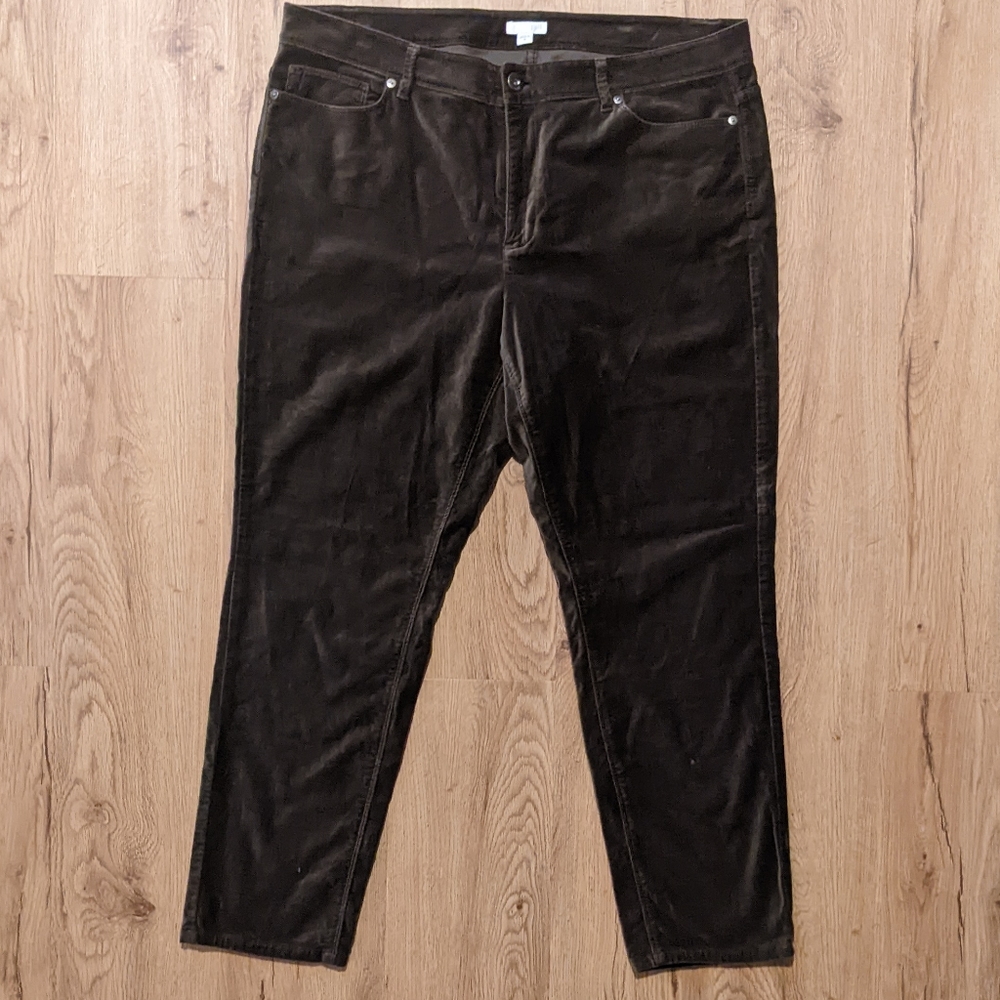 J.Jill velvet dark green pants